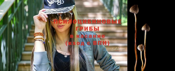 тгк Арсеньев