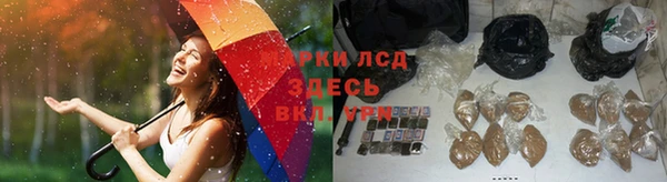 крисы Армянск