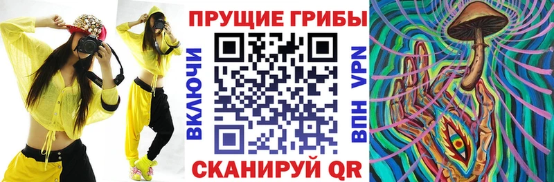 наркотики  Покачи  Псилоцибиновые грибы Psilocybe 